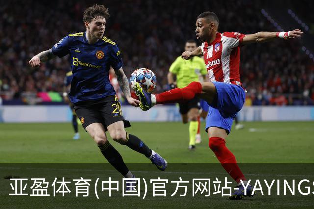 亚盈体育(中国)官方网站-YAYINGSPORTS企业介绍